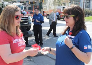 Poppy Distribution