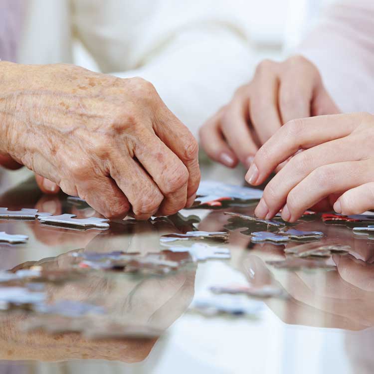 hands volunteering with veterans